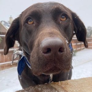 Meet your Posher, Cris